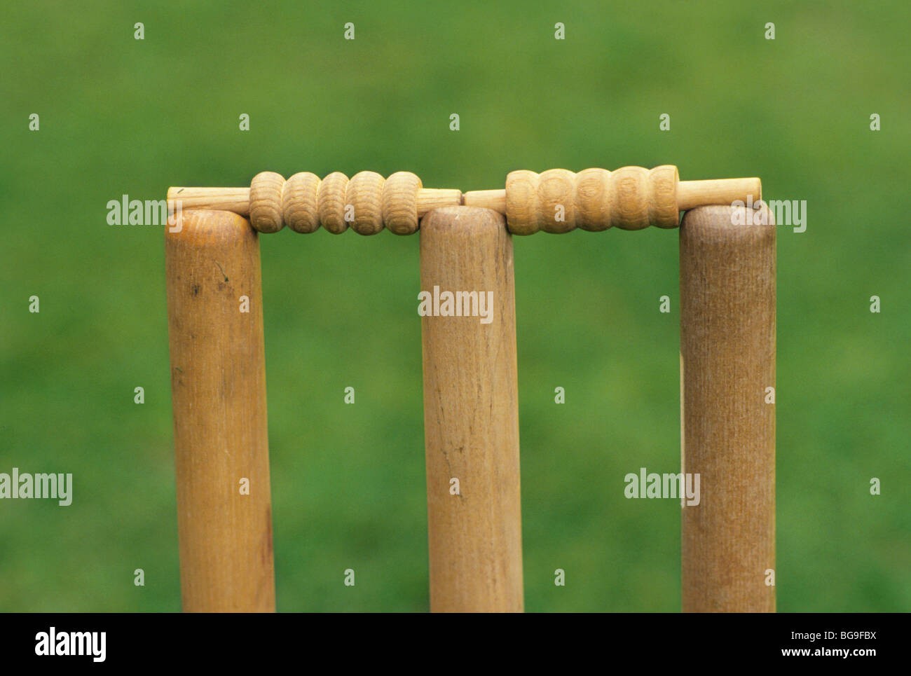 z-cricket top of stumps.jpg