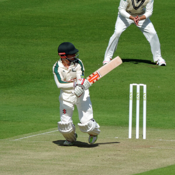 z-cricket batsman wicket.png