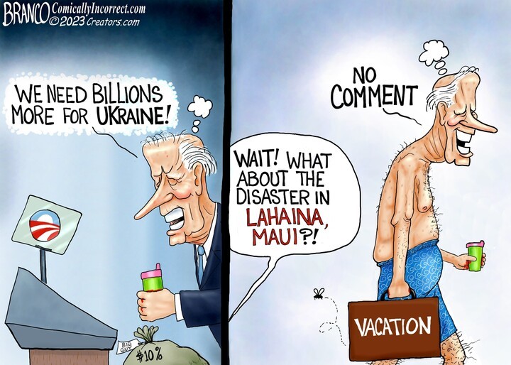z-hawaii no aid for americans.jpg